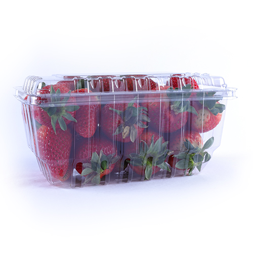 FRUTILLA ORGANICA ENVASE 500g